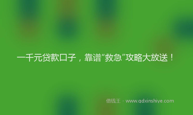 一千元贷款口子，靠谱“救急”攻略大放送！