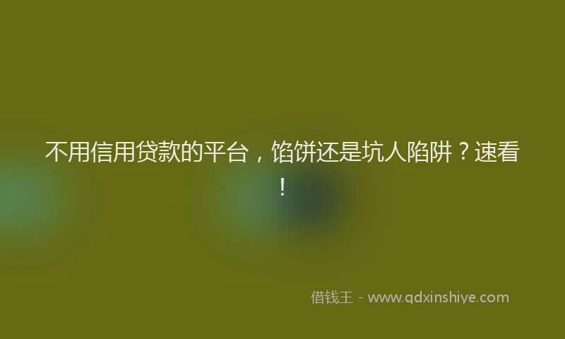 不用信用贷款的平台，馅饼还是坑人陷阱？速看！