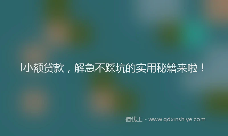 l小额贷款，解急不踩坑的实用秘籍来啦！