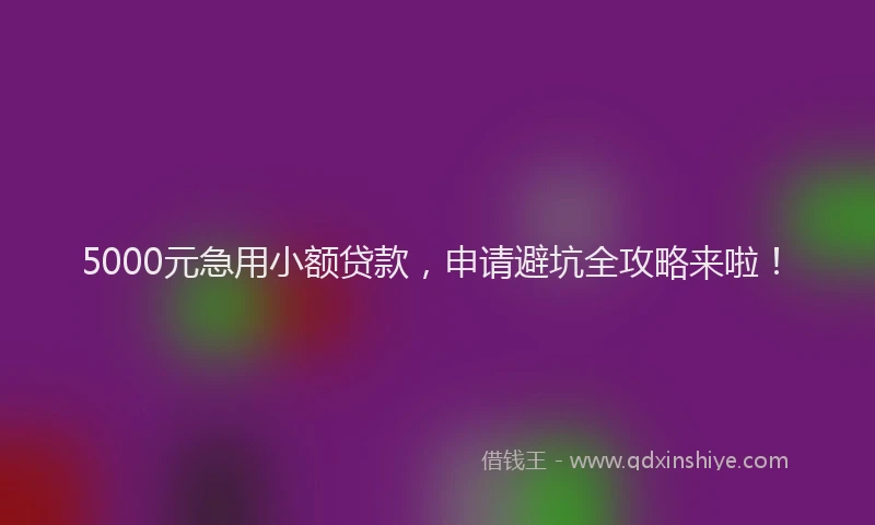5000元急用小额贷款，申请避坑全攻略来啦！