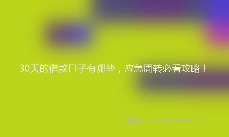 30天的借款口子有哪些，应急周转必看攻略！