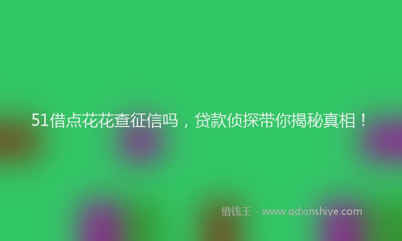 51借点花花查征信吗，贷款侦探带你揭秘真相！