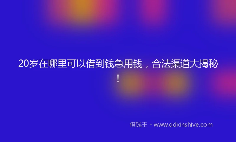 20岁在哪里可以借到钱急用钱，合法渠道大揭秘！