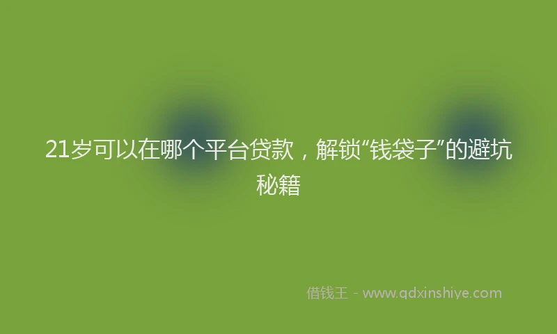 21岁可以在哪个平台贷款，解锁“钱袋子”的避坑秘籍