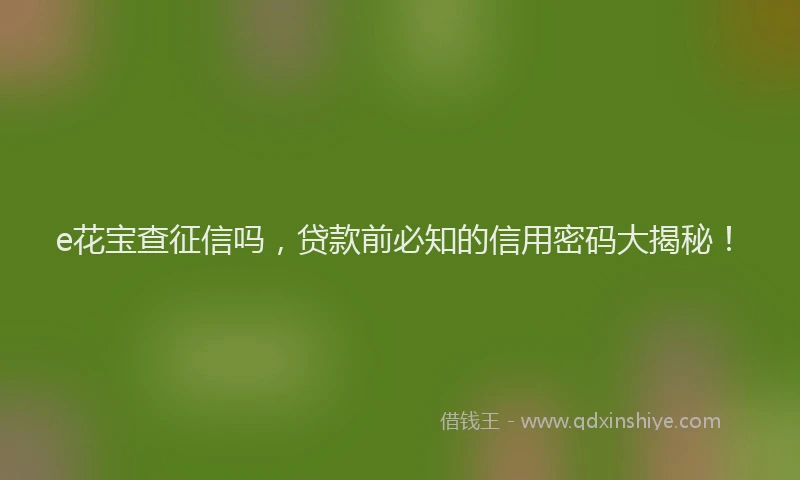 e花宝查征信吗，贷款前必知的信用密码大揭秘！