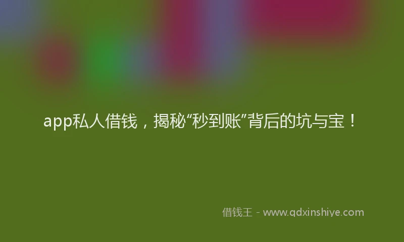 app私人借钱，揭秘“秒到账”背后的坑与宝！