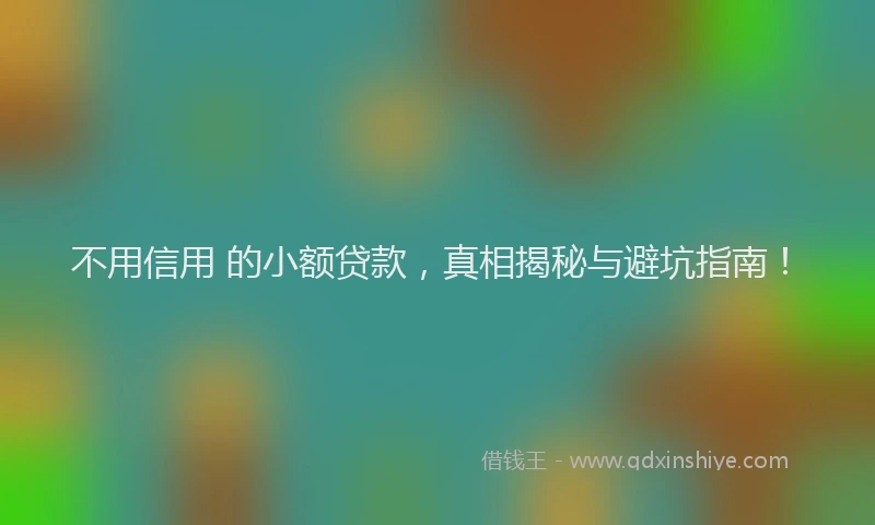 不用信用 的小额贷款，真相揭秘与避坑指南！
