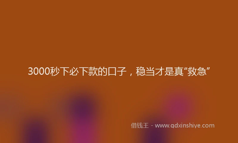 3000秒下必下款的口子，稳当才是真“救急”