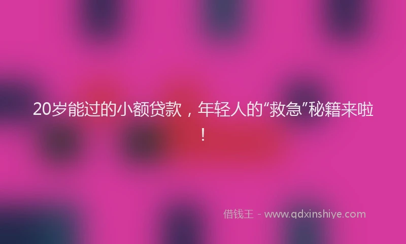 20岁能过的小额贷款，年轻人的“救急”秘籍来啦！