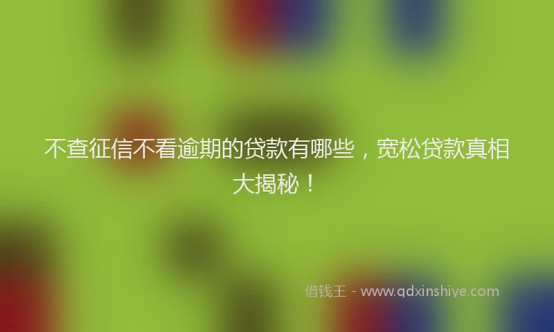 不查征信不看逾期的贷款有哪些，宽松贷款真相大揭秘！