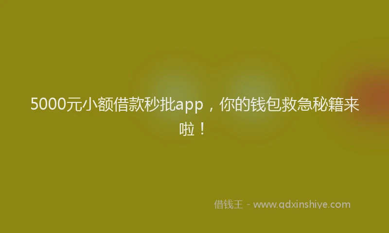 5000元小额借款秒批app，你的钱包救急秘籍来啦！
