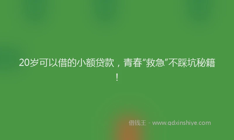 20岁可以借的小额贷款，青春“救急”不踩坑秘籍！