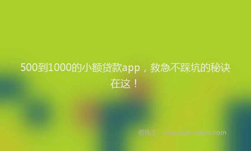 500到1000的小额贷款app，救急不踩坑的秘诀在这！