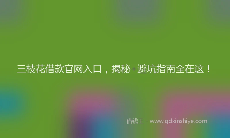 三枝花借款官网入口，揭秘+避坑指南全在这！