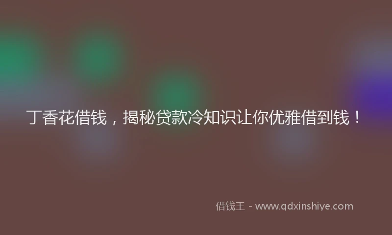 丁香花借钱，揭秘贷款冷知识让你优雅借到钱！