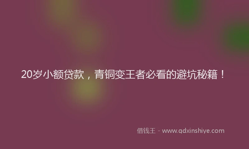 20岁小额贷款，青铜变王者必看的避坑秘籍！