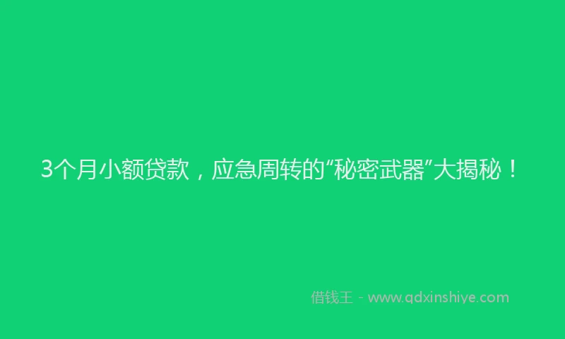3个月小额贷款，应急周转的“秘密武器”大揭秘！