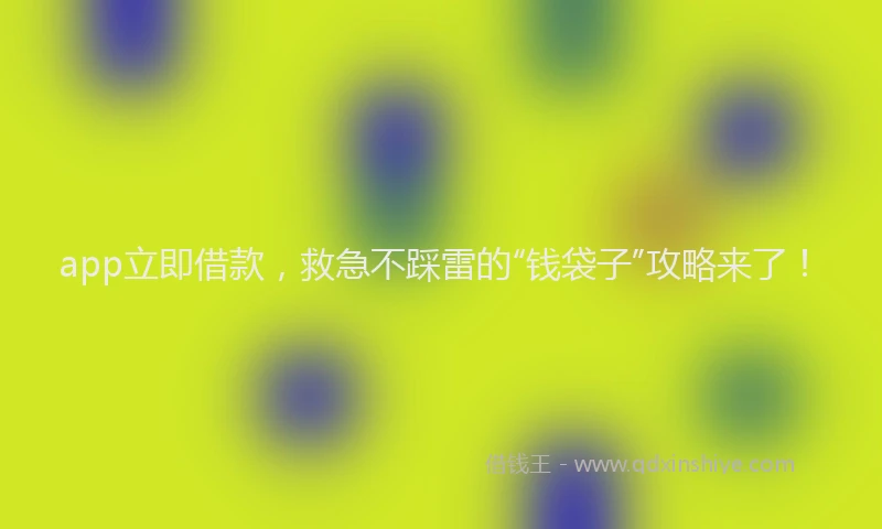 app立即借款，救急不踩雷的“钱袋子”攻略来了！
