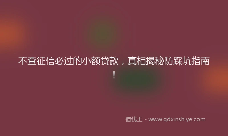 不查征信必过的小额贷款，真相揭秘防踩坑指南！