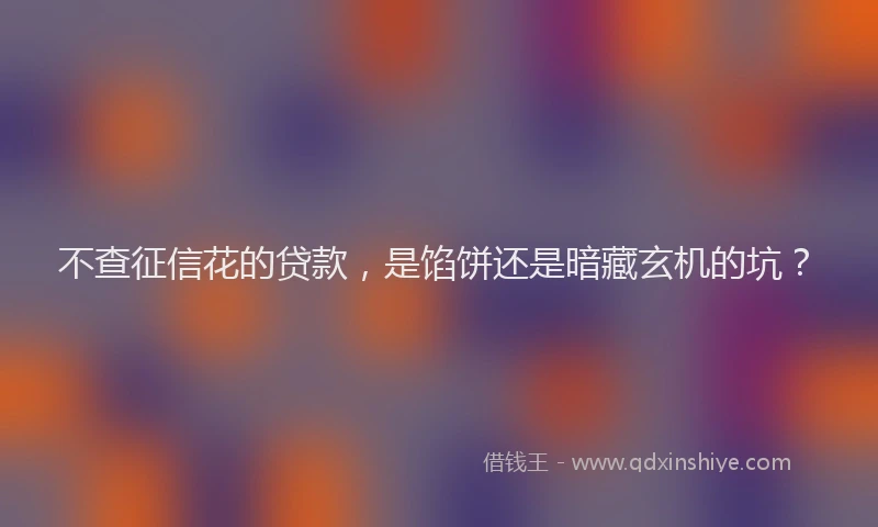 不查征信花的贷款，是馅饼还是暗藏玄机的坑？