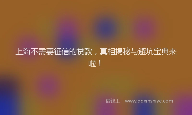 上海不需要征信的贷款，真相揭秘与避坑宝典来啦！