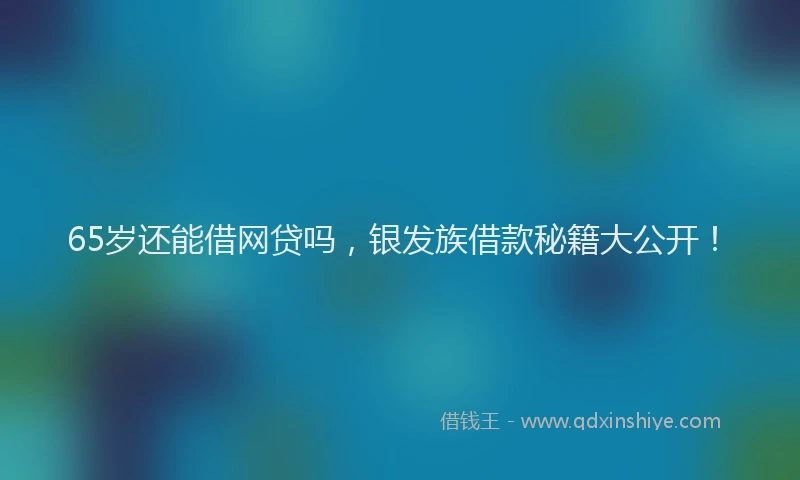 65岁还能借网贷吗，银发族借款秘籍大公开！