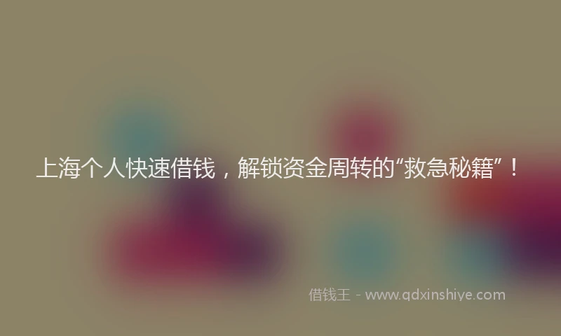 上海个人快速借钱，解锁资金周转的“救急秘籍”！