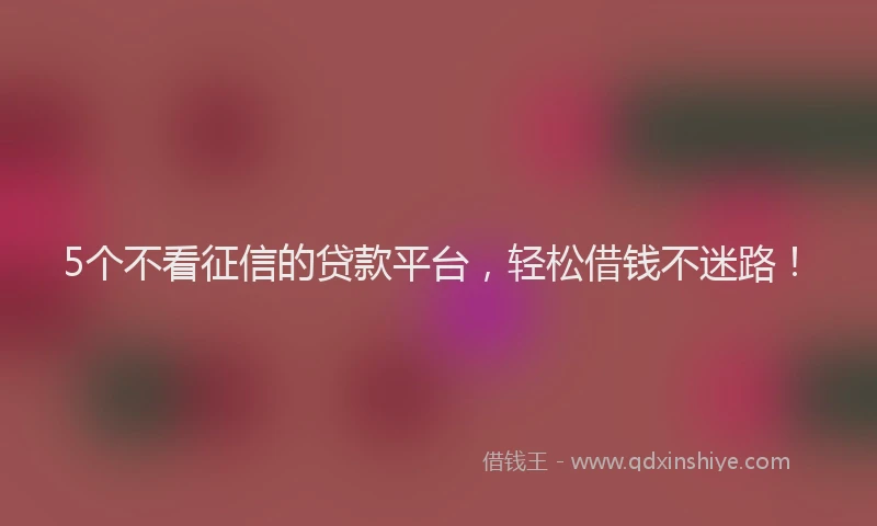 5个不看征信的贷款平台，轻松借钱不迷路！