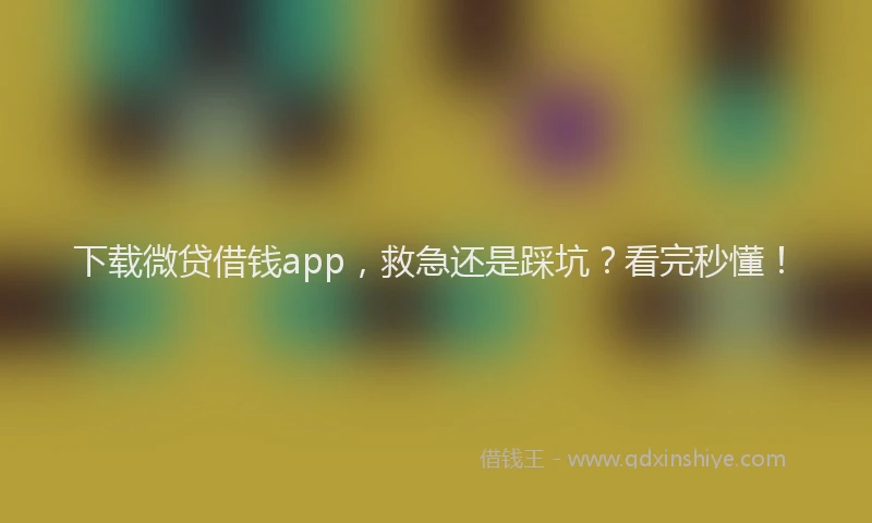下载微贷借钱app，救急还是踩坑？看完秒懂！