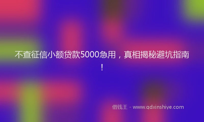 不查征信小额贷款5000急用，真相揭秘避坑指南！