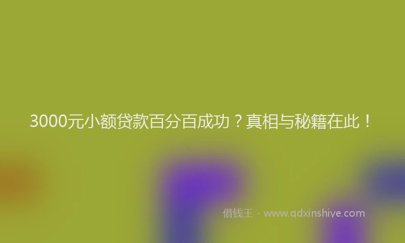 3000元小额贷款百分百成功？真相与秘籍在此！