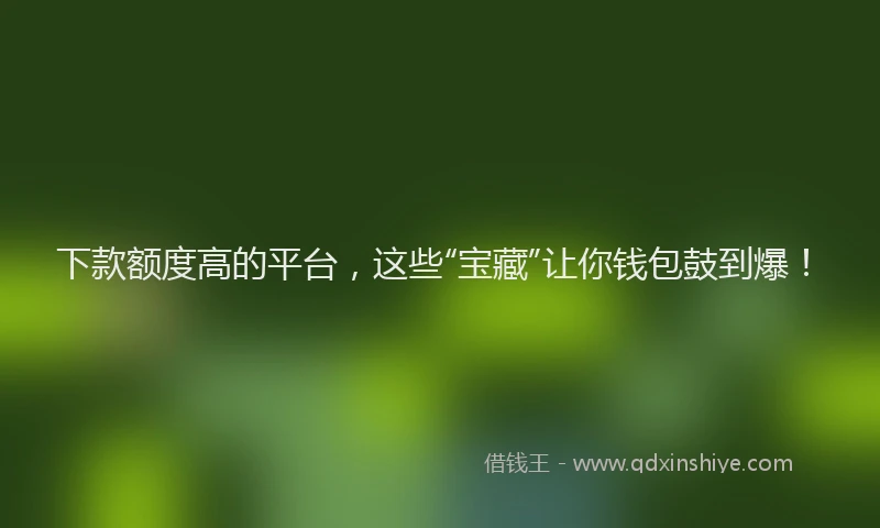 下款额度高的平台，这些“宝藏”让你钱包鼓到爆！