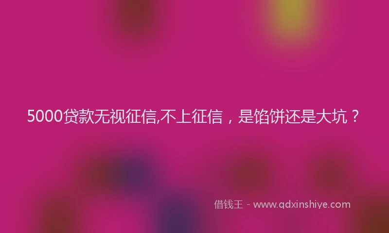5000贷款无视征信,不上征信，是馅饼还是大坑？