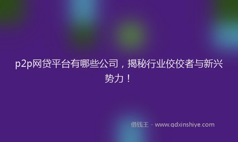 p2p网贷平台有哪些公司，揭秘行业佼佼者与新兴势力！