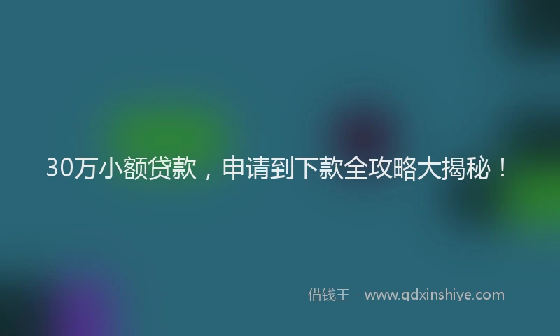 30万小额贷款，申请到下款全攻略大揭秘！