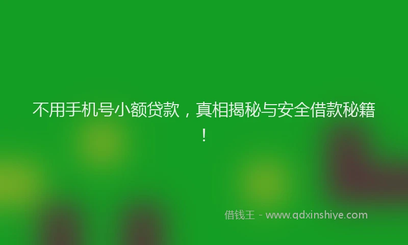 不用手机号小额贷款，真相揭秘与安全借款秘籍！