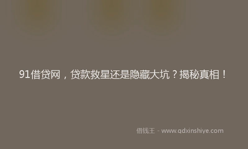 91借贷网，贷款救星还是隐藏大坑？揭秘真相！