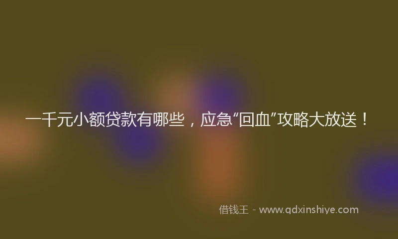 一千元小额贷款有哪些，应急“回血”攻略大放送！