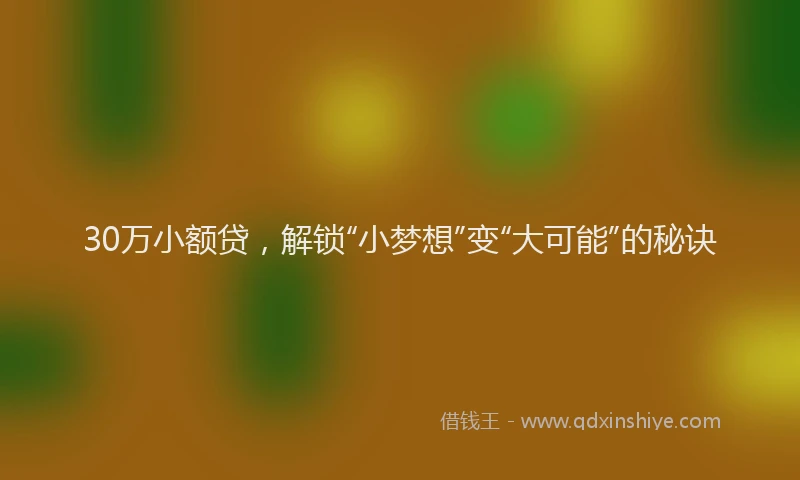 30万小额贷，解锁“小梦想”变“大可能”的秘诀