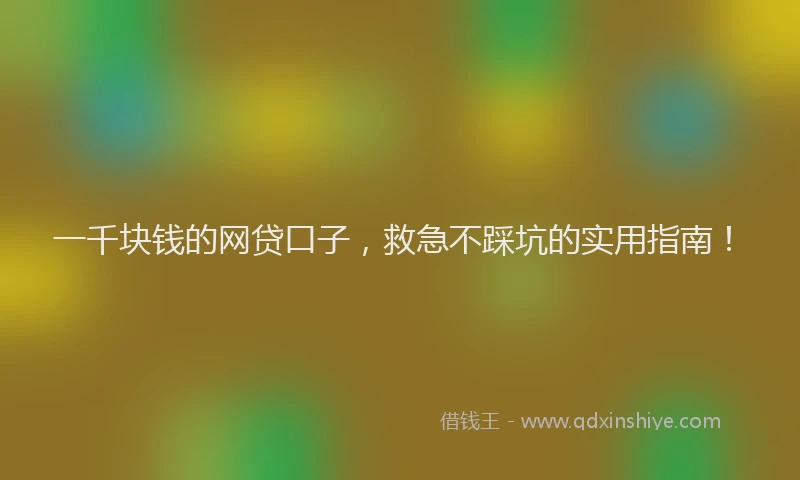 一千块钱的网贷口子，救急不踩坑的实用指南！
