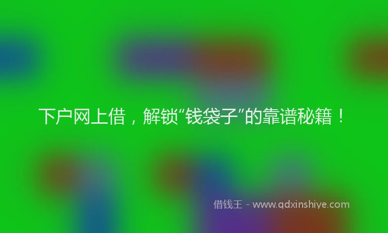 下户网上借，解锁“钱袋子”的靠谱秘籍！