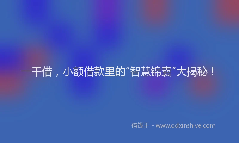 一千借，小额借款里的“智慧锦囊”大揭秘！