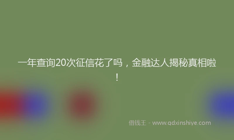 一年查询20次征信花了吗，金融达人揭秘真相啦！
