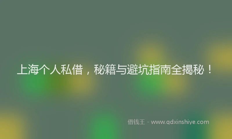 上海个人私借，秘籍与避坑指南全揭秘！