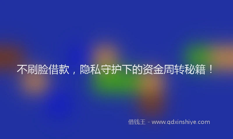 不刷脸借款，隐私守护下的资金周转秘籍！
