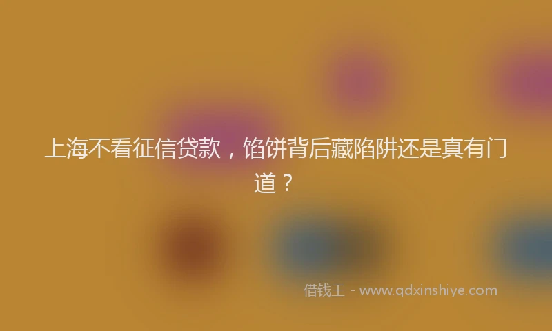 上海不看征信贷款，馅饼背后藏陷阱还是真有门道？