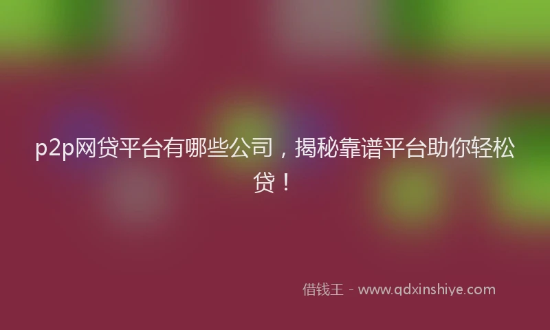 p2p网贷平台有哪些公司，揭秘靠谱平台助你轻松贷！