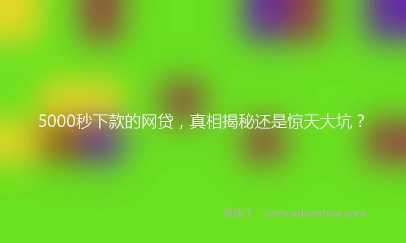 5000秒下款的网贷，真相揭秘还是惊天大坑？