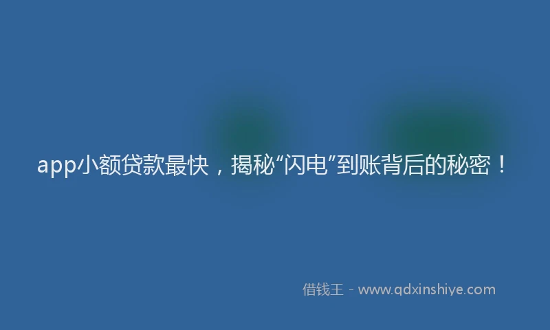 app小额贷款最快，揭秘“闪电”到账背后的秘密！