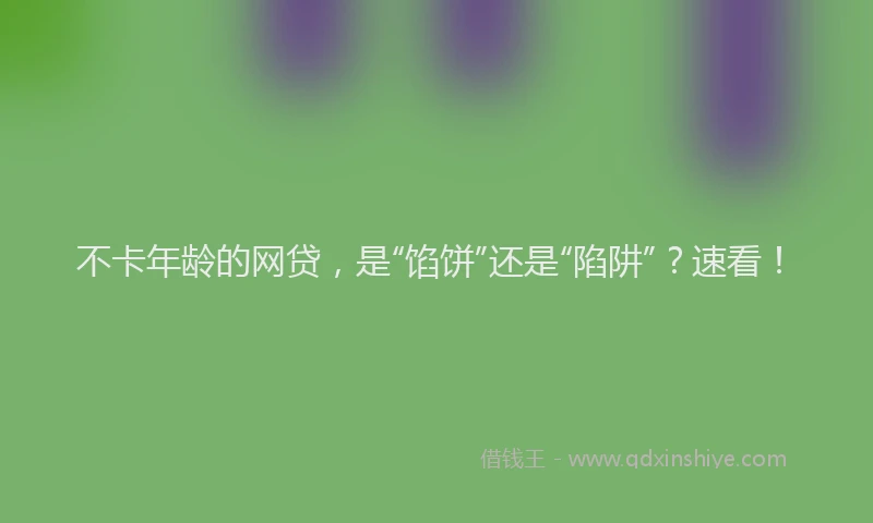 不卡年龄的网贷，是“馅饼”还是“陷阱”？速看！